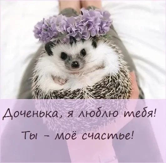 💌 Добрые открытки! Подписаться