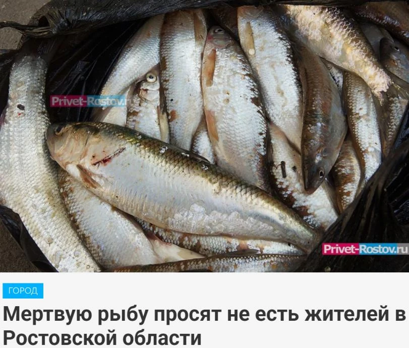 Почалось