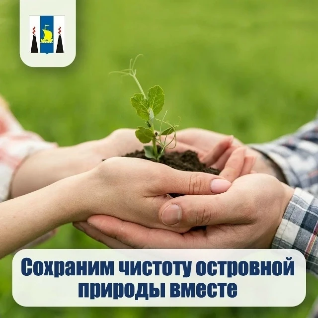 🌲 Сохраним чистоту островной природы вместе