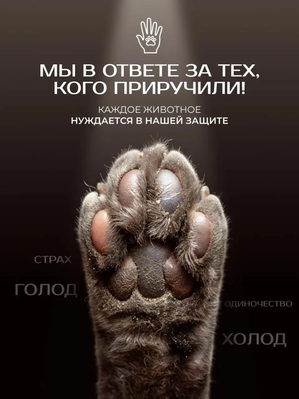 ⚠️ Домашнее животное — не игрушка и не временное развлечение!