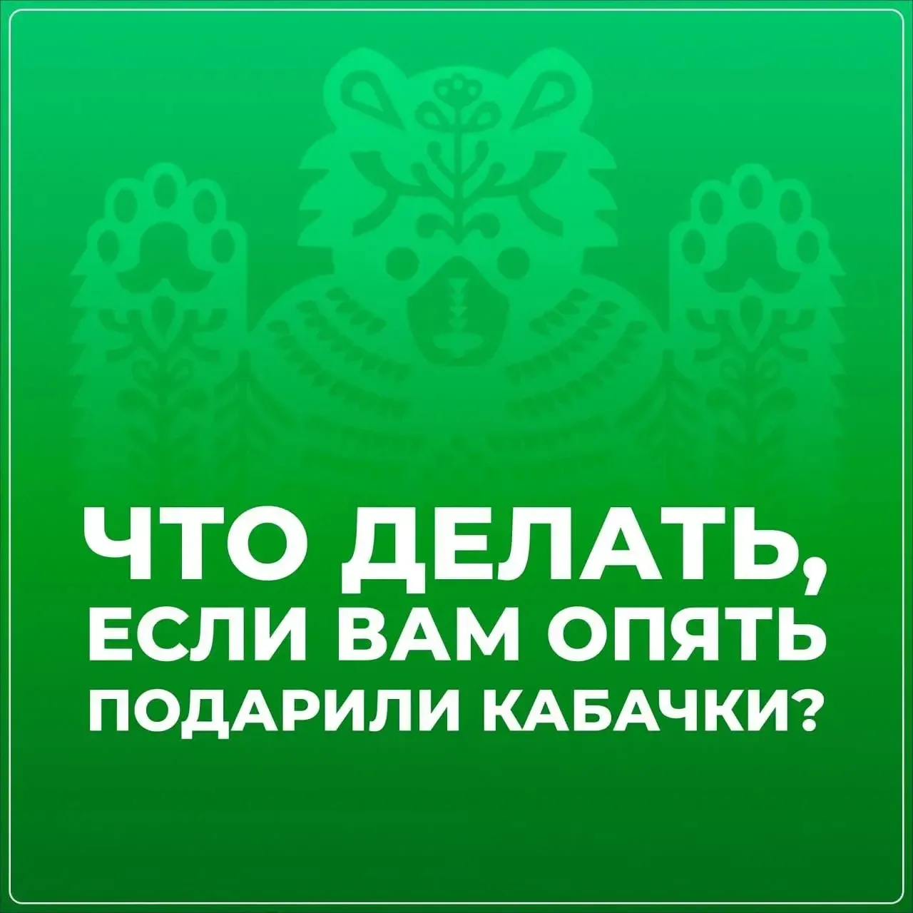 🍆 Снова подарили кабачки, а дома уже некуда складывать?