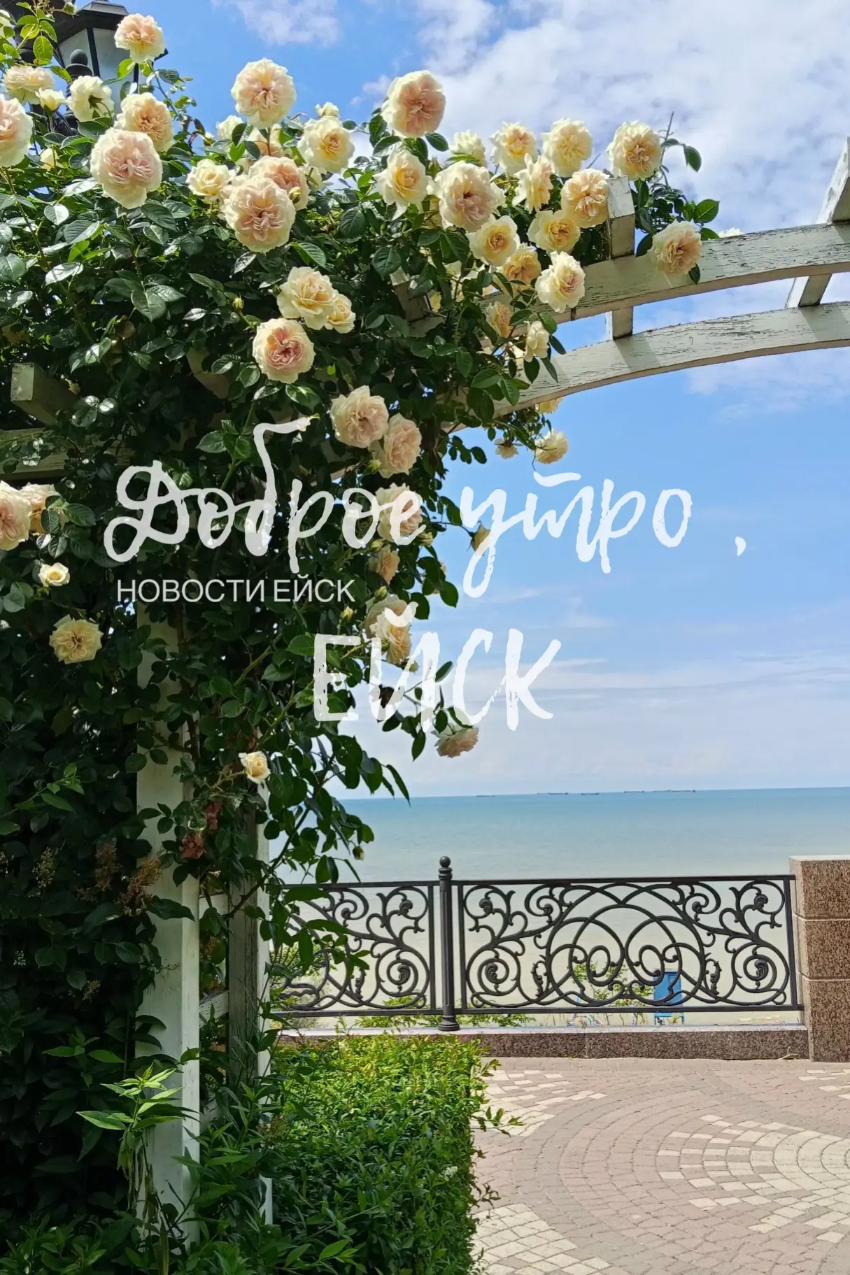 🫶Доброе утро, Ейск! 

 🗓️Сегодня, 15 июня, понедельник. 
Пусть начало недели будет лёгким и продук