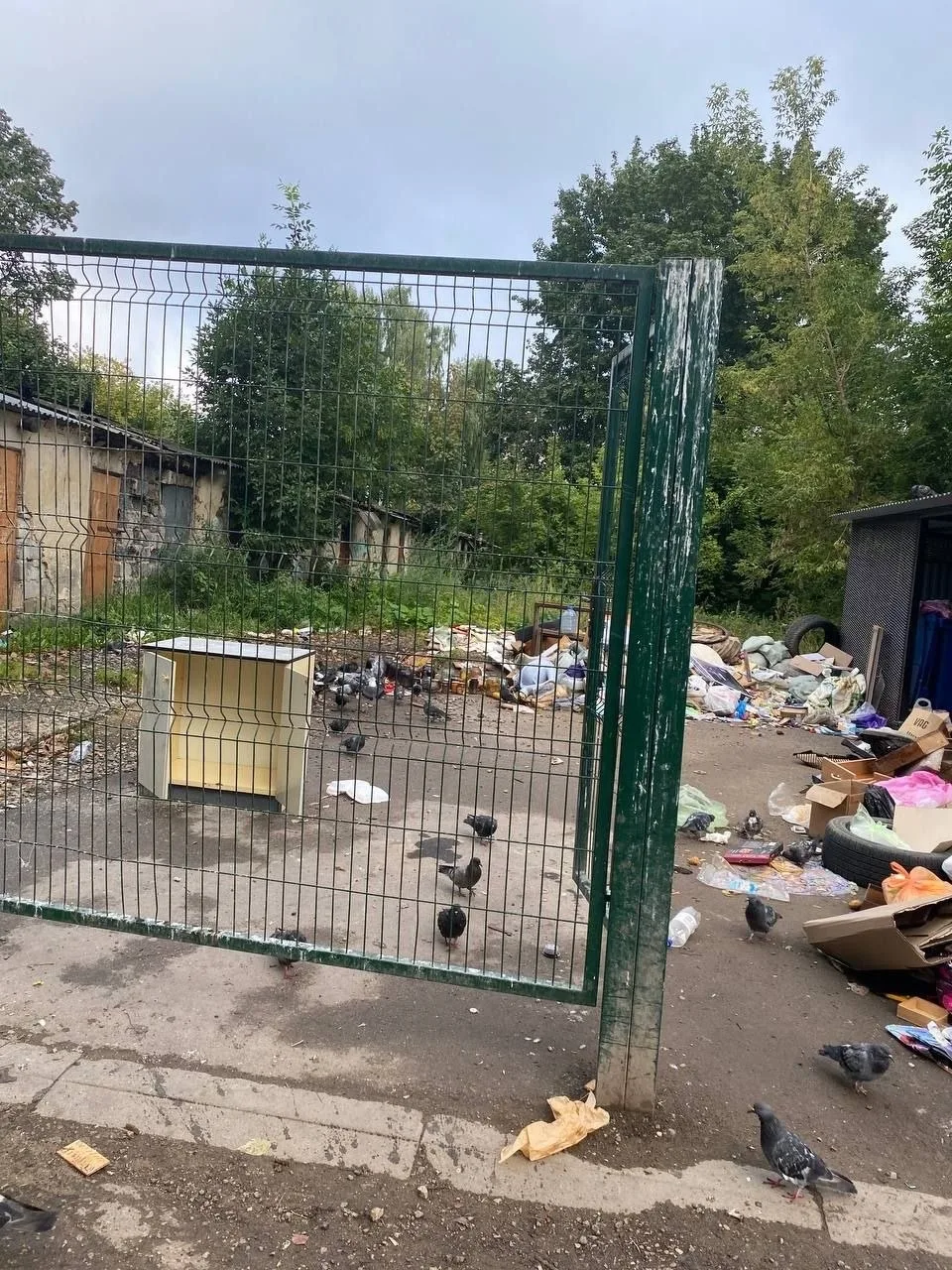 Местные жители жалуются, что мусор на улице Мира продолжает лежать