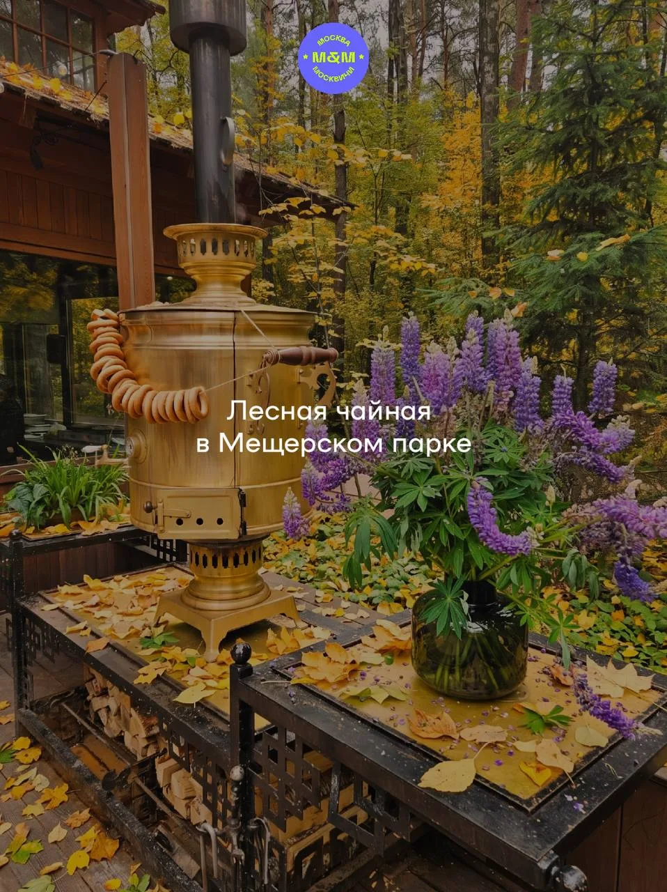 😍 Ловим последние солнечные деньки за хвост и идем фотографироваться!