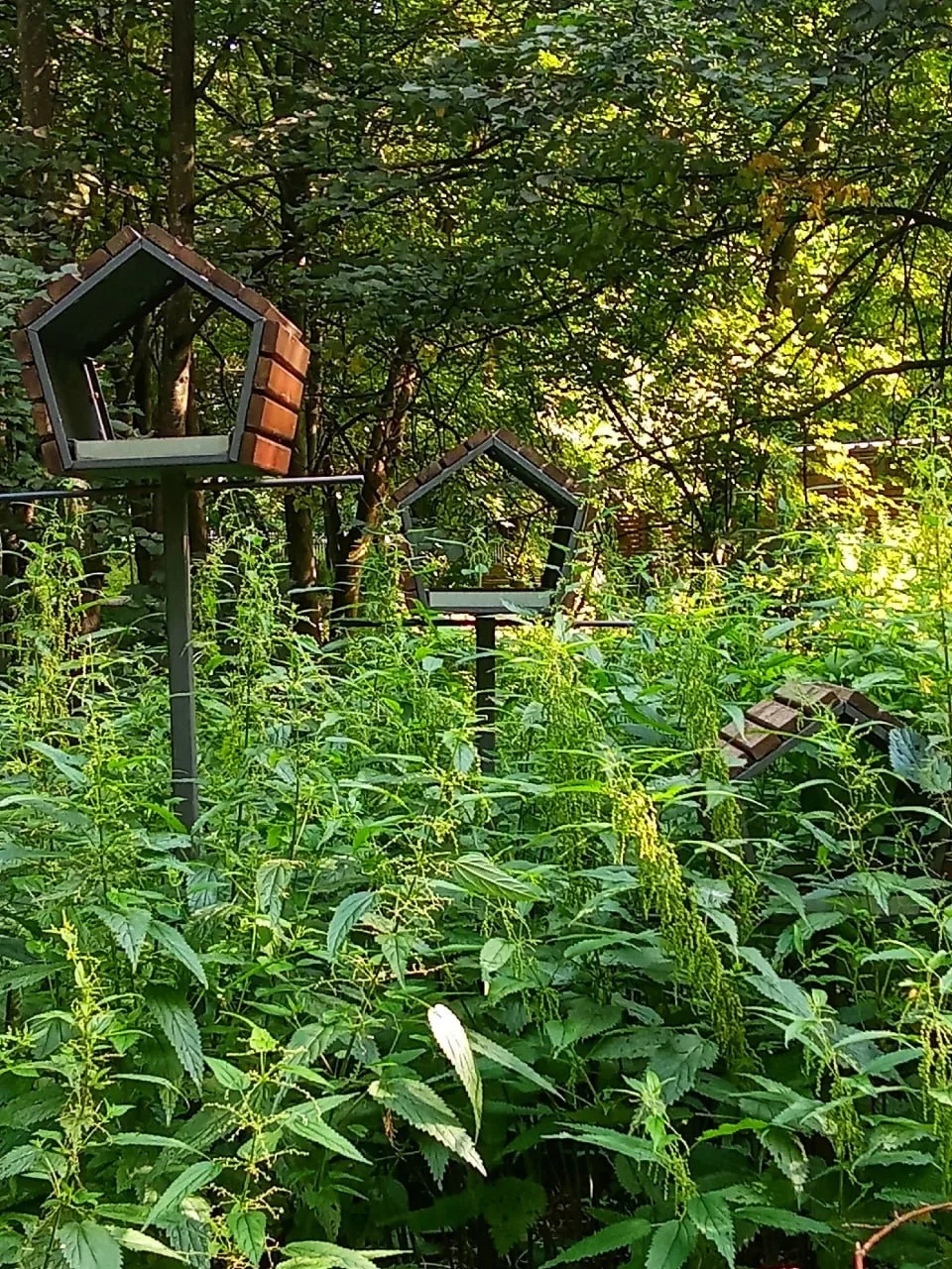 В парке Кусково появились чудесные  кормушки для птиц 🥰