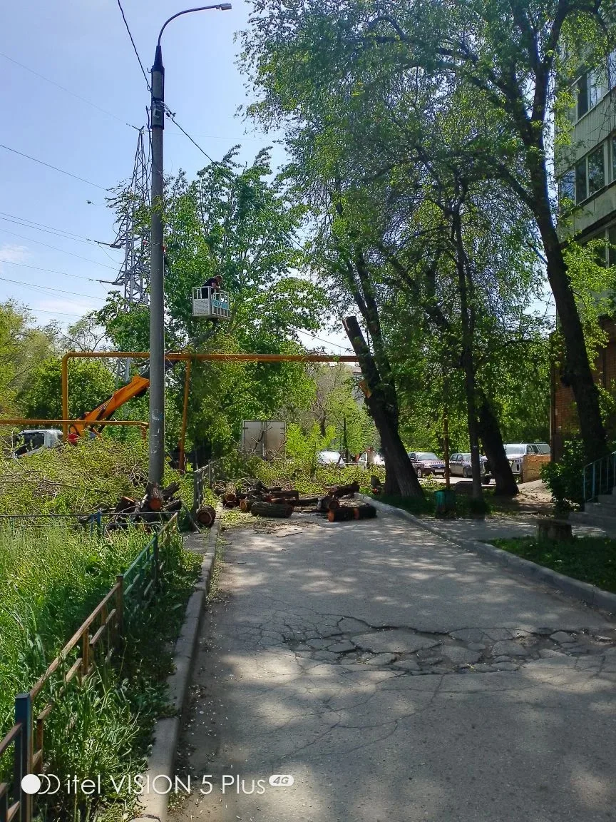 Санитарная обрезка деревьев по адресу: ул. Пугачёвский тракт д. 61 🌳🌳🌳