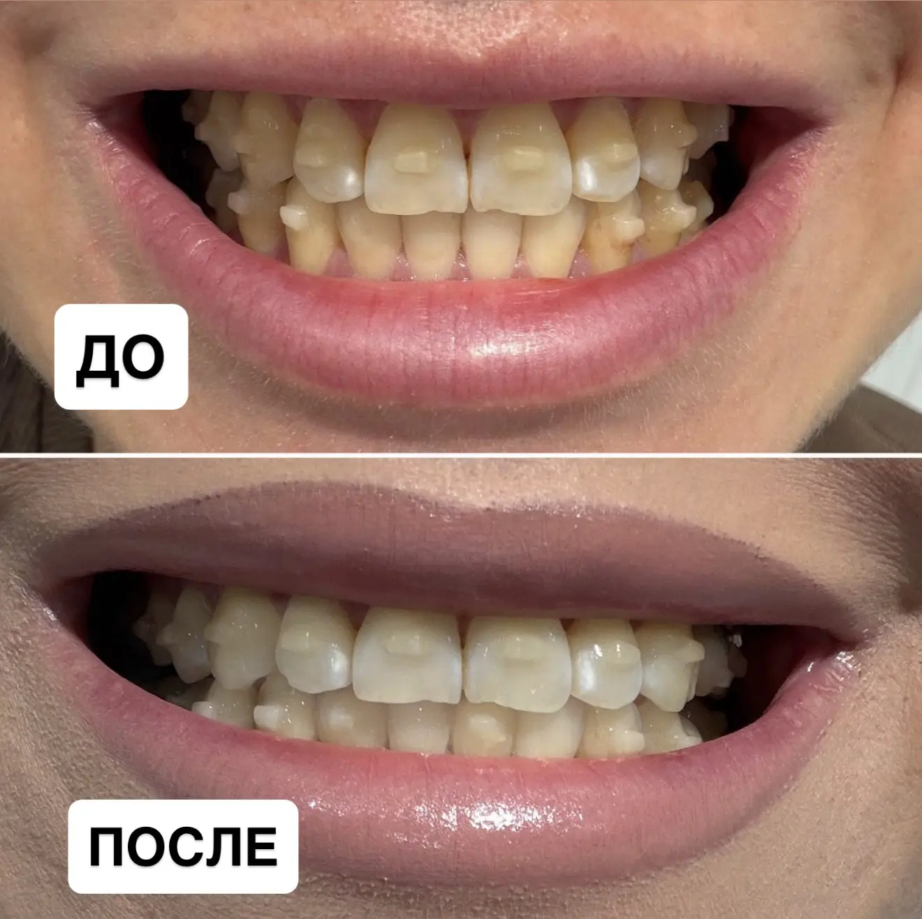 Довезли пионы в целости и сохранности 👌Только вот я теперь бегаю по всей квартире мура...
