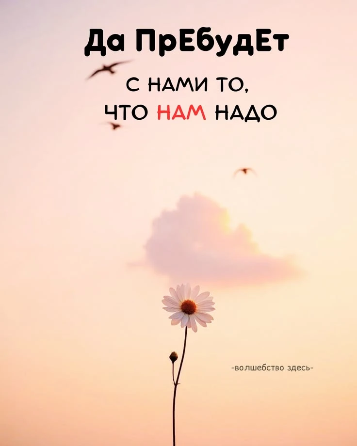 https://max.ru/invista123456