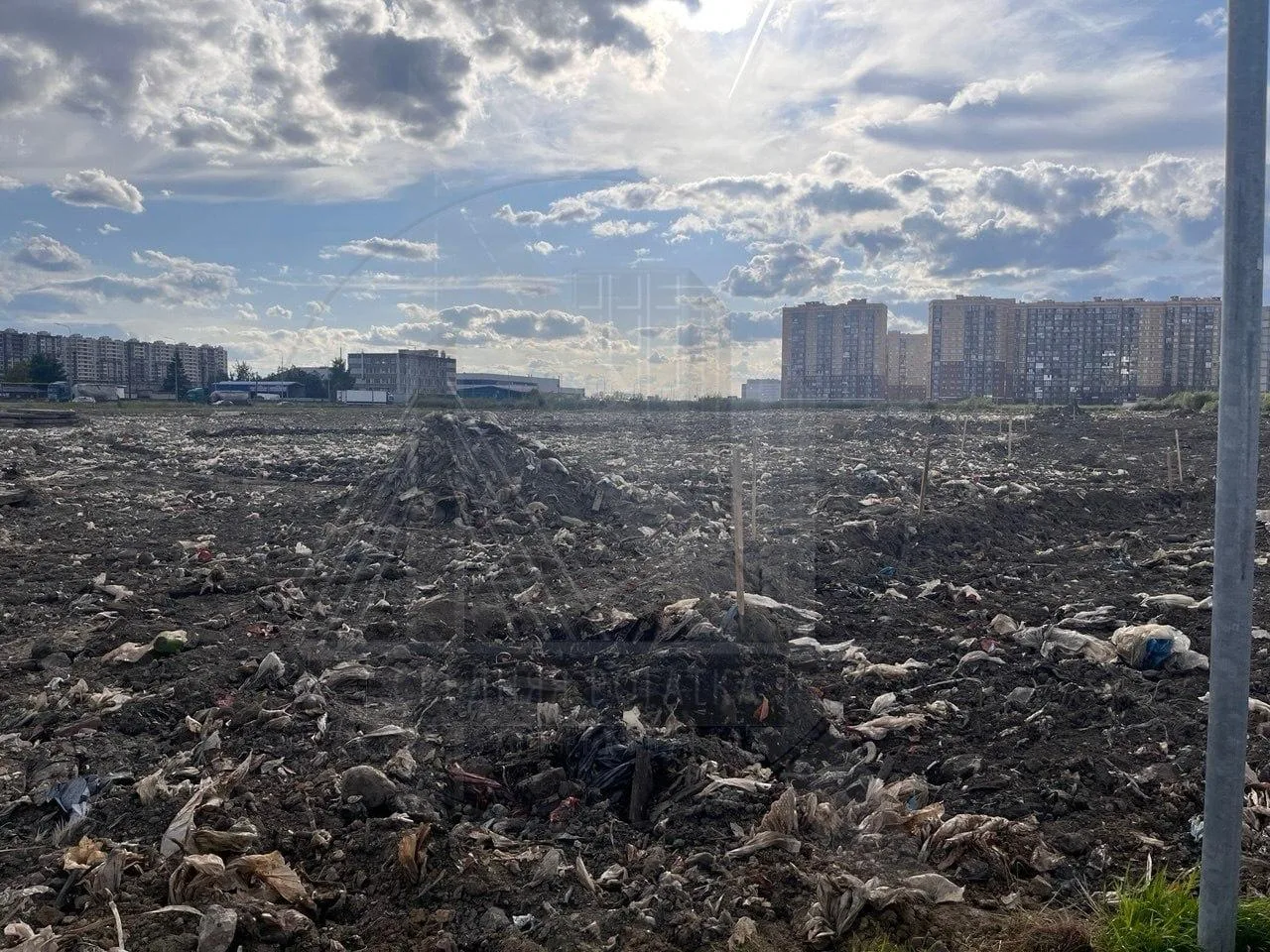 🌳 Благоустройство части парка на Дизельном приостановили