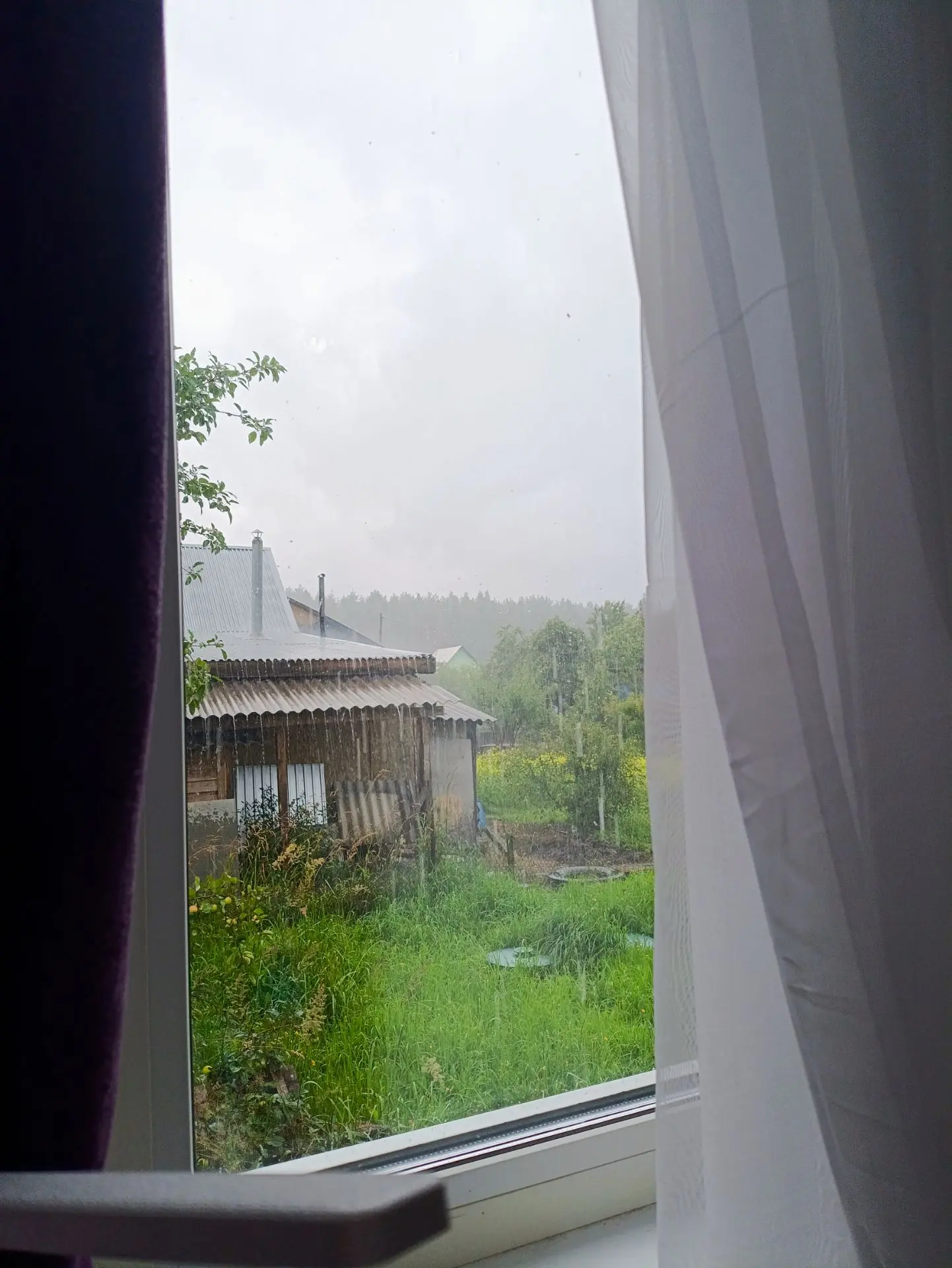 ☔️ И снова дождь за окном...
