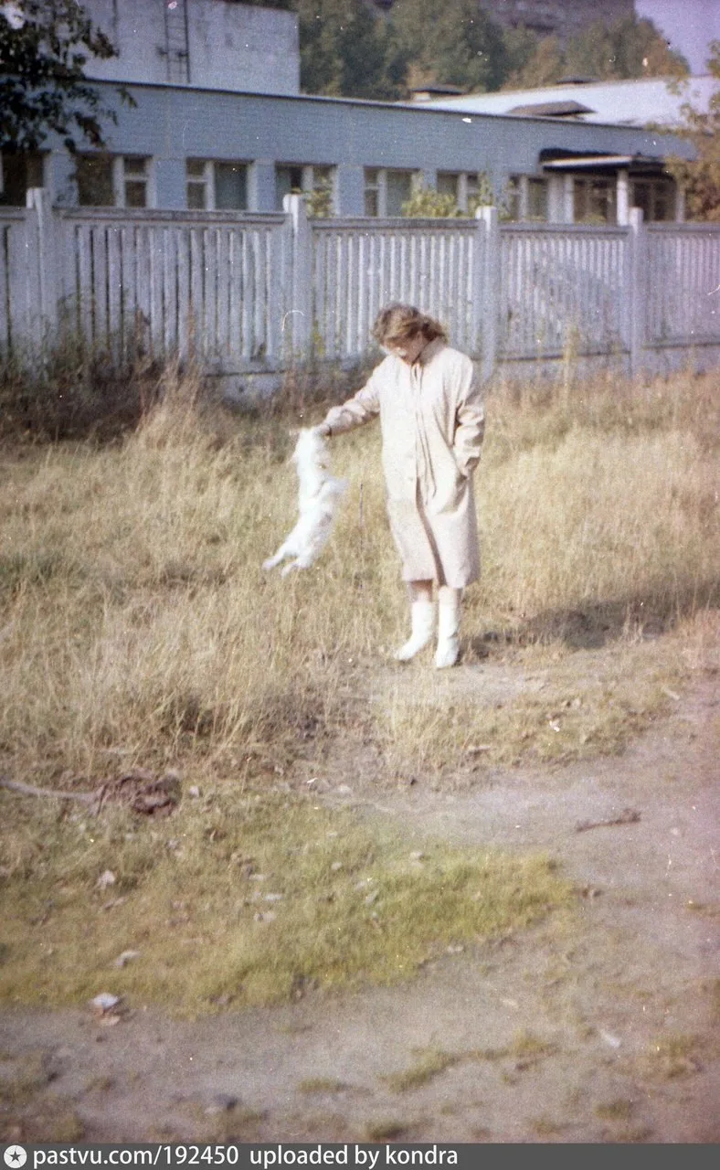улица Академика Скрябина, у детского сада