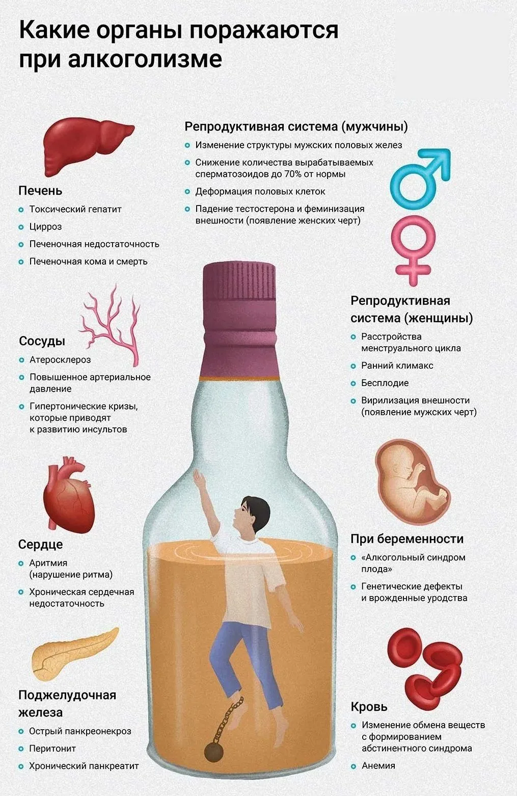 🥂Влияние алкоголя на репродуктивное здоровье

Отрицательное воздействие алкоголь оказывает на репро
