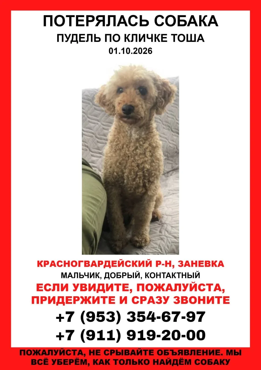 Продолжается поиск