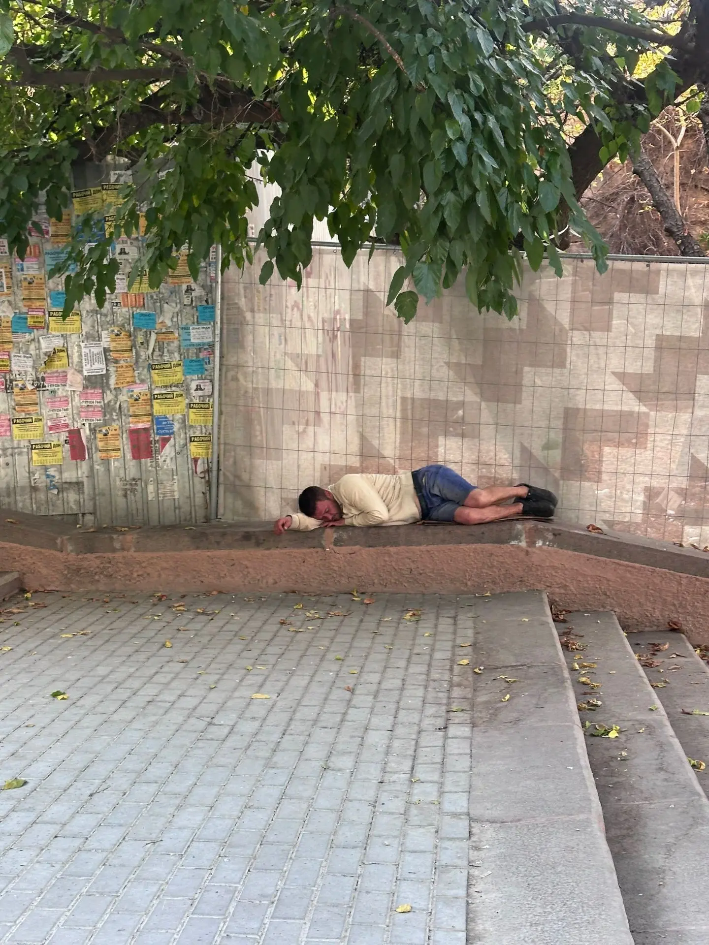 Под надежной защитой шелковицы