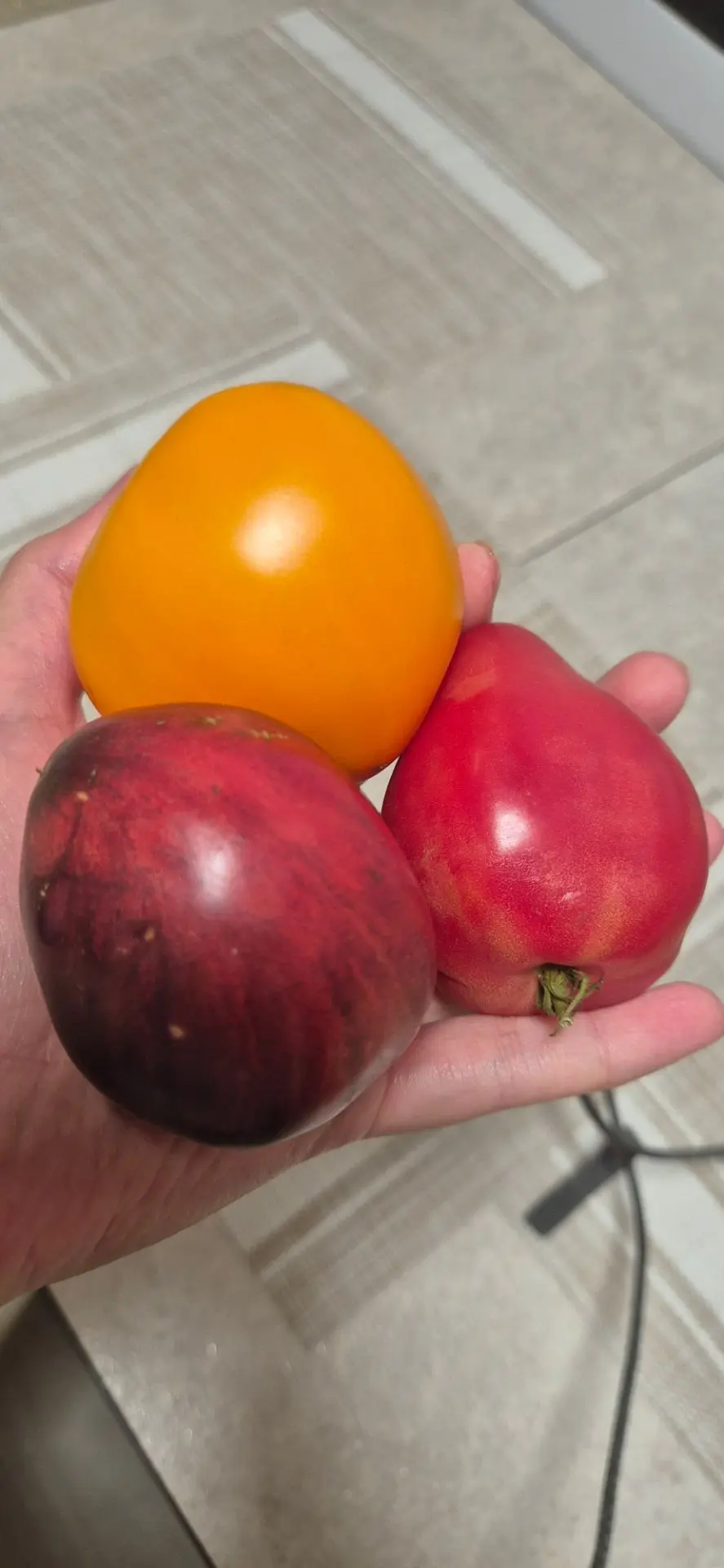 Какие красивые помидоры 🍅 купила на мини рынке 😍