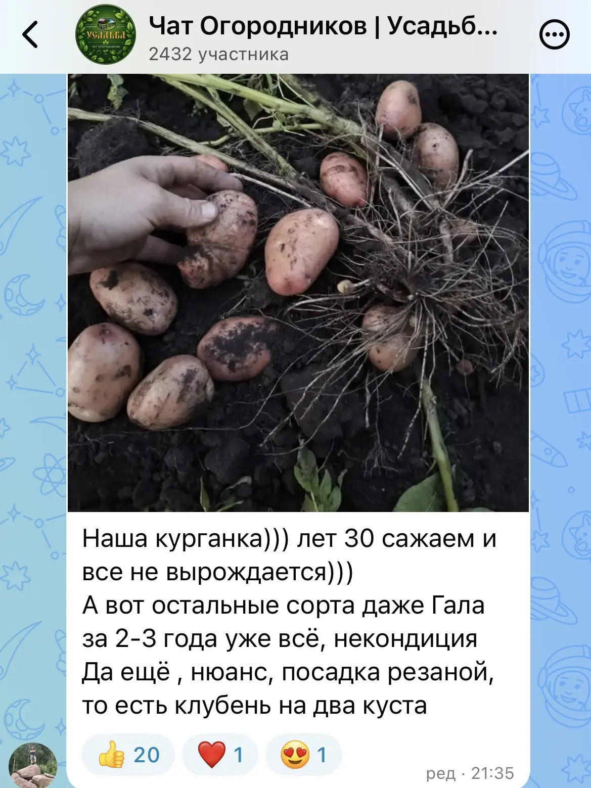 🥔 Вот такой отзыв мы получили от нашего покупателя!❤️