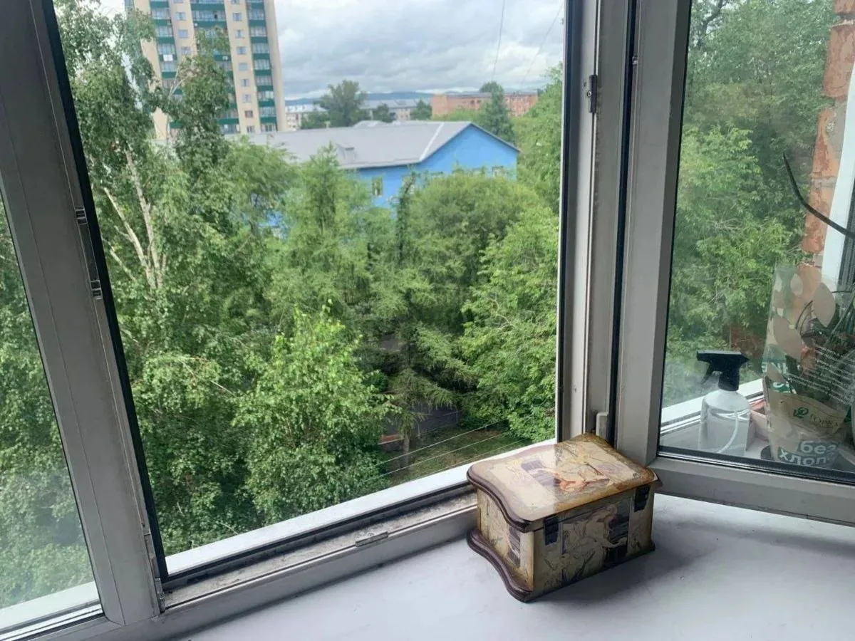В Абакане вынесли приговор матери погибшего при падении из окна малыша