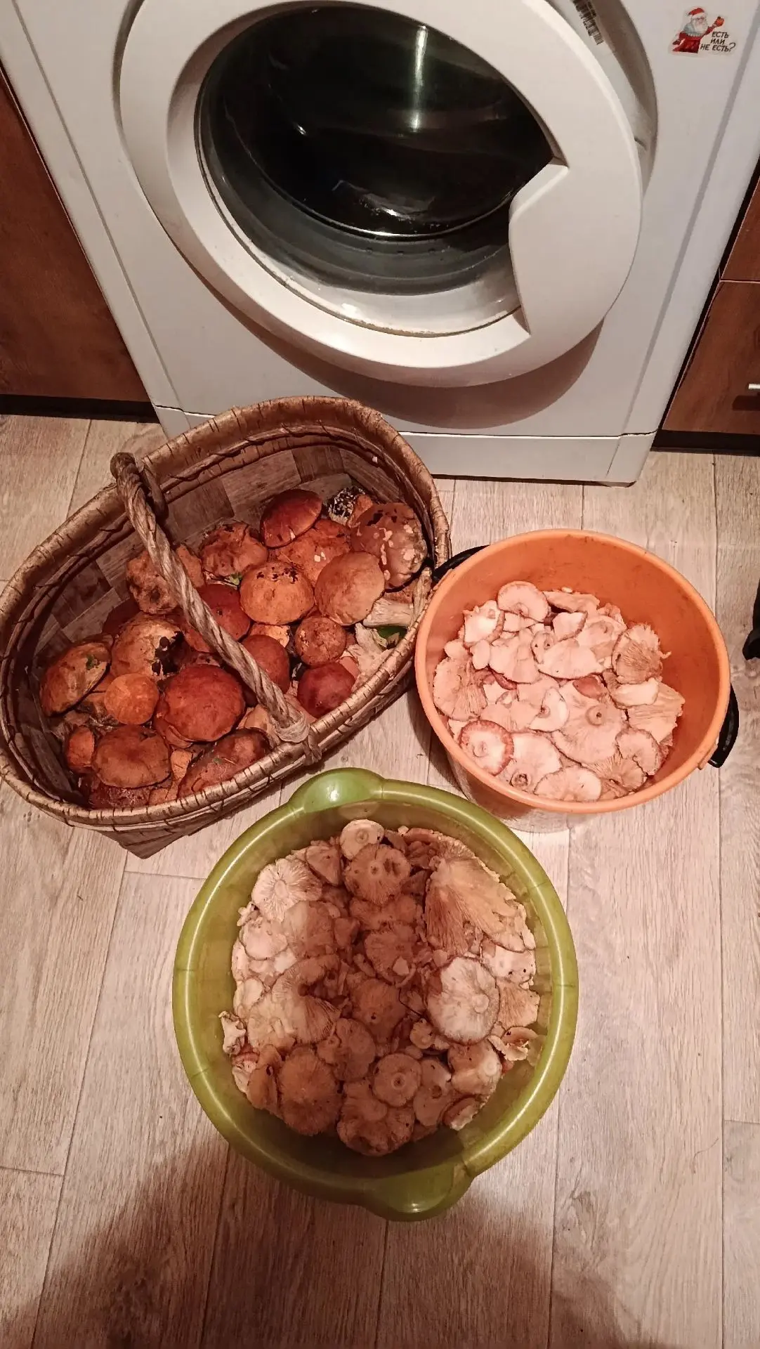 Грибы всякие пошли и солененькие  и всякие