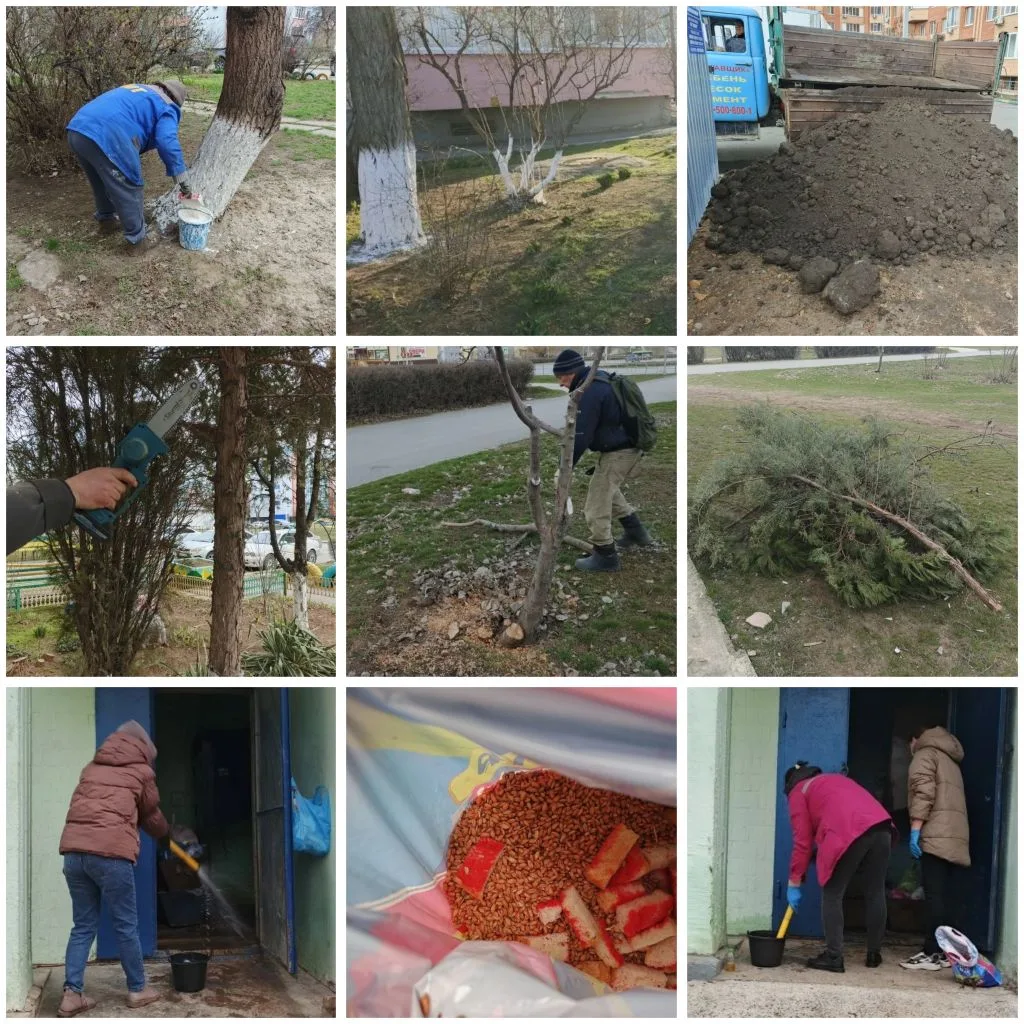 ▫️Плановый спил стволов на Кошевого, 50 - 2 шт., удаление пеньков.