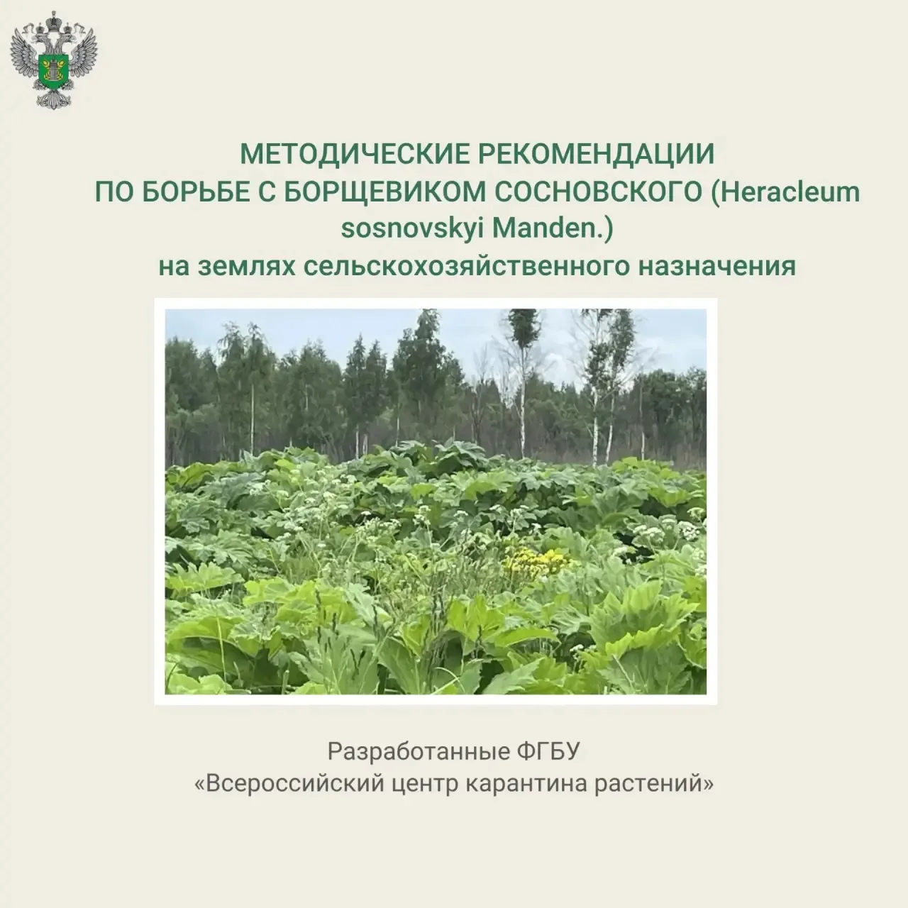 🔗 Подробнее на сайте