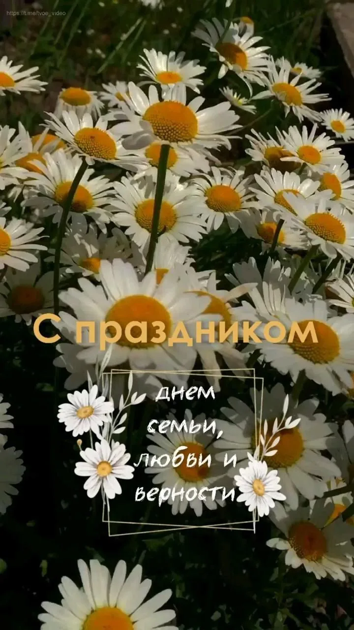 🏡 8 июля — День семьи, любви и верности! С праздником, сургутяне!

Уважаемые жители!
Сегодня, 8 июл