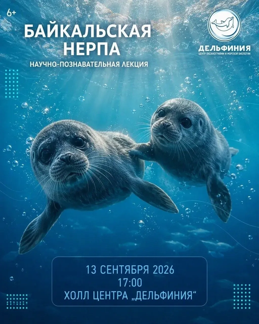 🦭Милые и игривые…