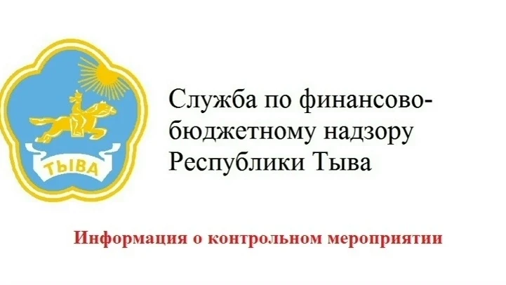 Информация о контрольном мероприятии, проведенном Службой по финансово-бюджетному надзору Республики