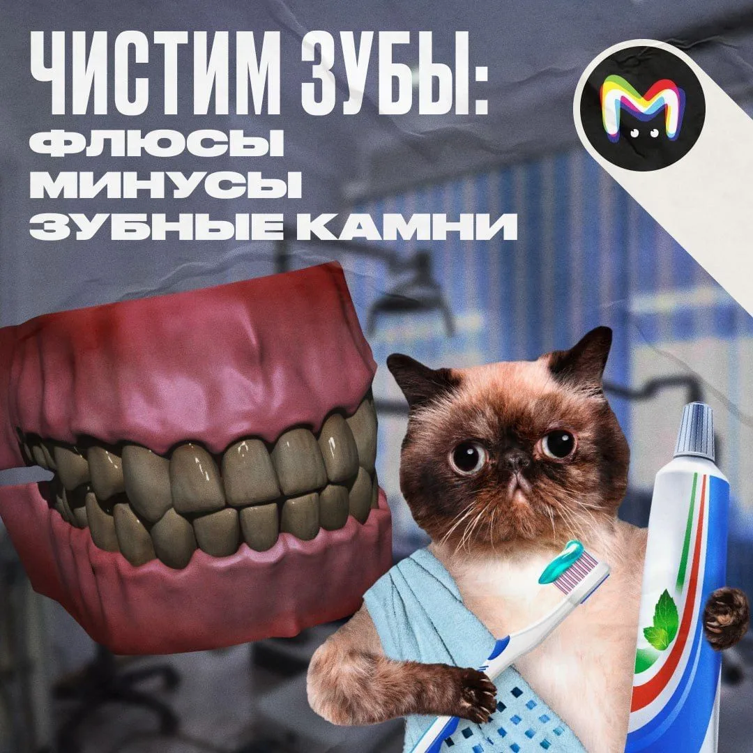 Достаём зубные щётки — сегодня у нас Всемирный день борьбы с кариесом! Эту дату учредил...