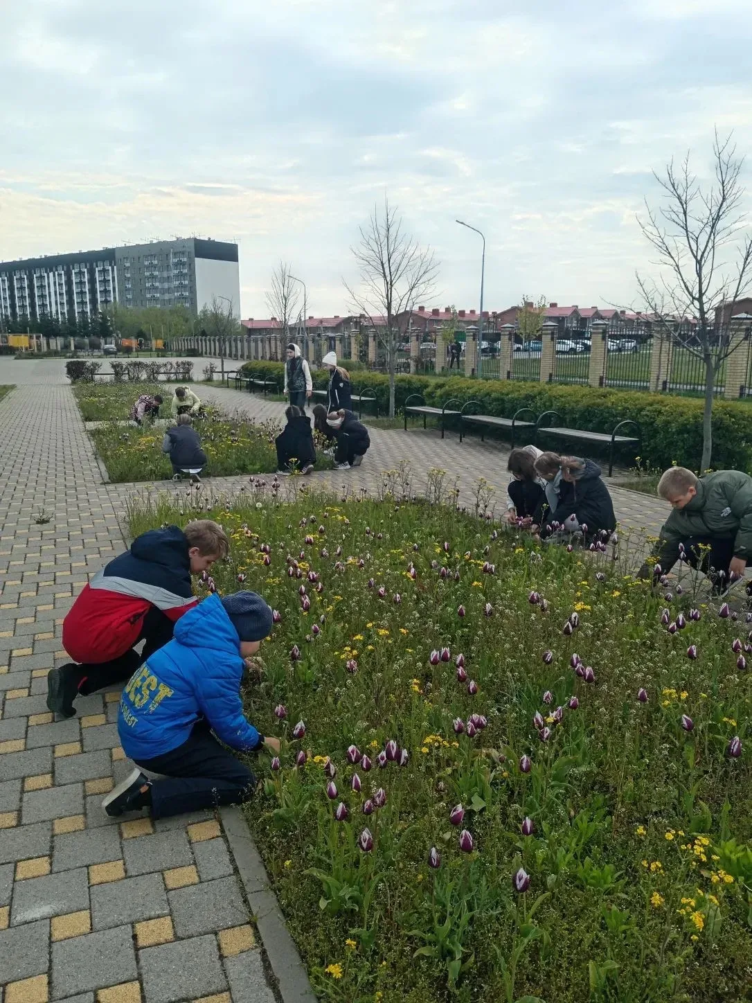 🌿 Субботник в нашей школе!🌿  В нашей школе прошёл субботник. Ученики, учителя вместе убирали террито