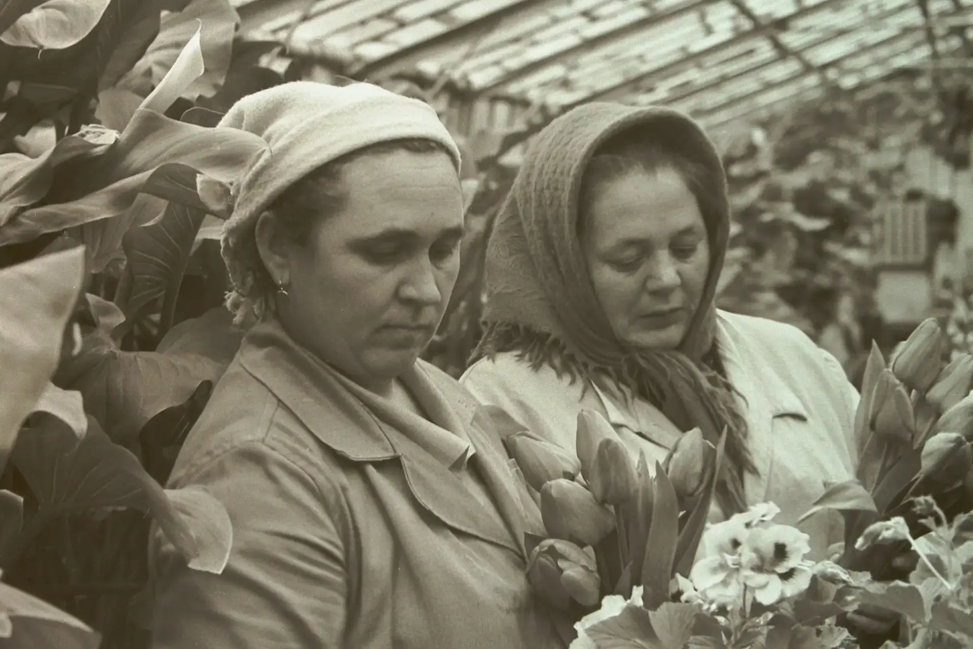 📸 Время редких кадров 

Есть фотографии, которые хранят не только мгновения, но и чьи-то судьбы.

�