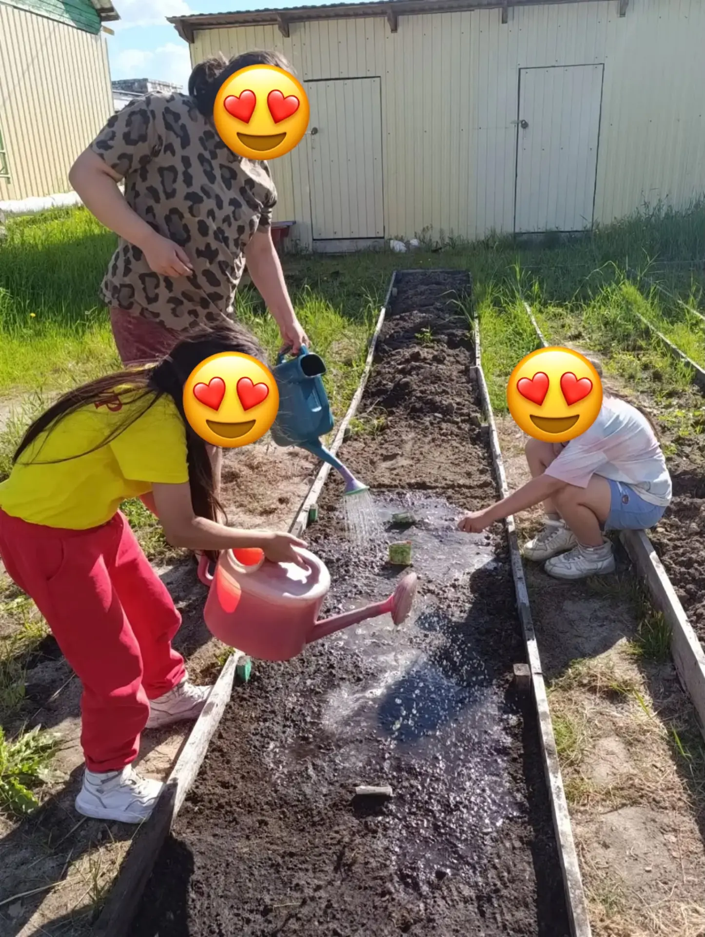 Маленькие садоводы большого дела 🌱