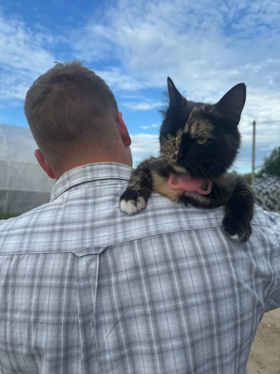 🐈 Держим вас в курсе: с нашей Мальвиной всё хорошо!