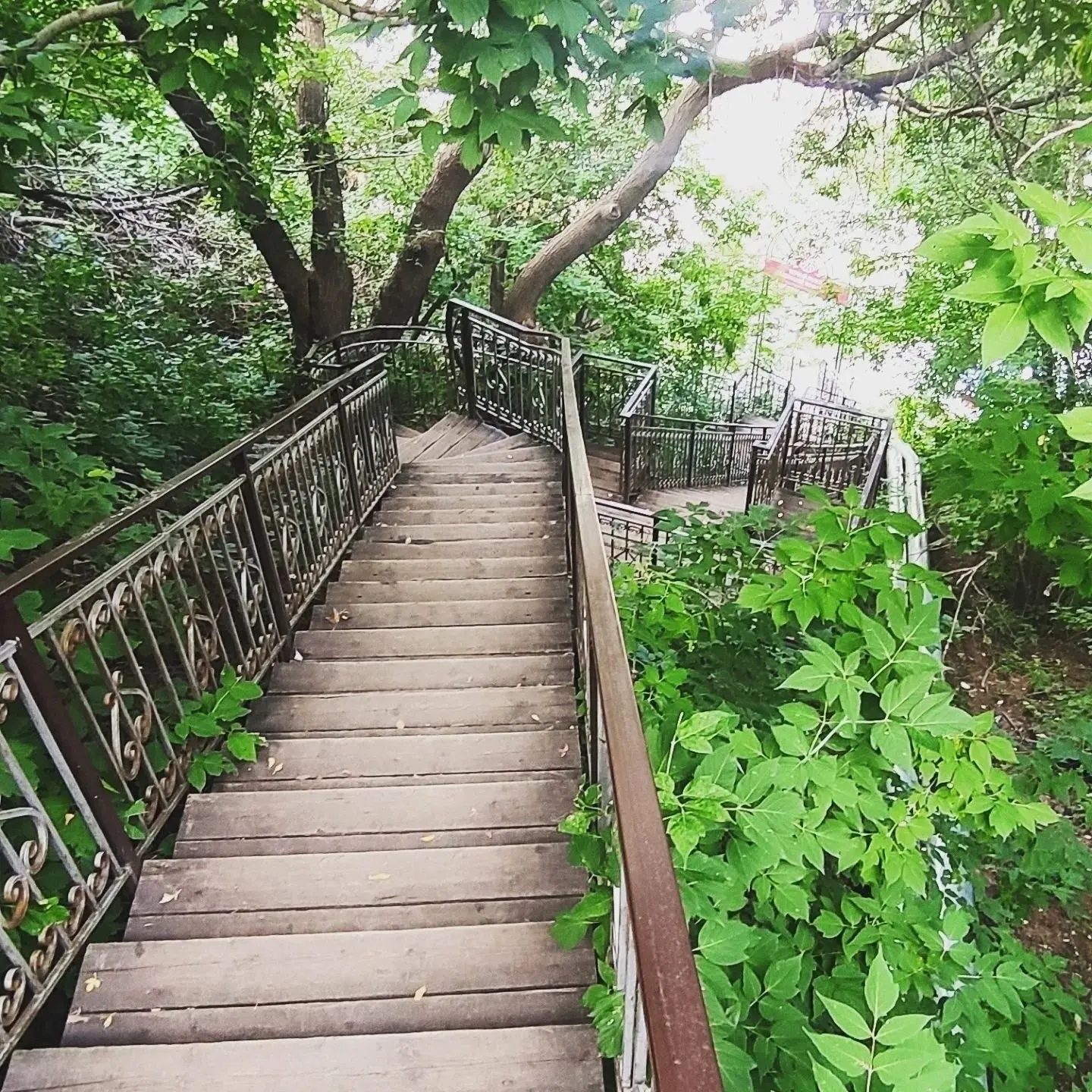 Загадочными тропами Томска💚