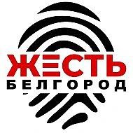 ⚡️В результате обстрела Белгорода есть пострадавшие, — сообщил Александр Шуваев.