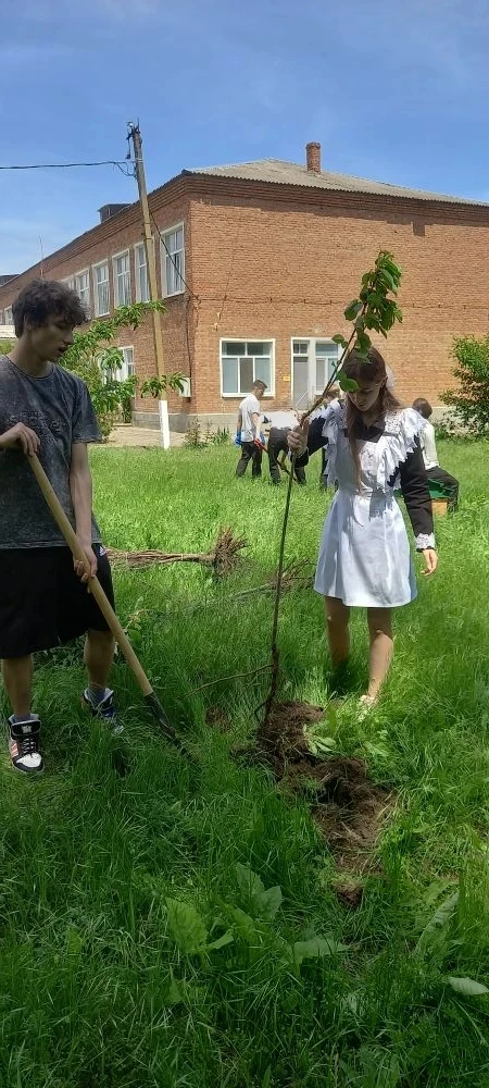 🌳 Выпускники 9 класса 2026 года заложили фруктовый сад в рамках экологической акции
В преддверии По