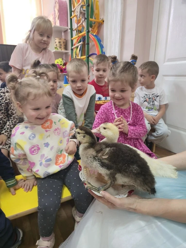 Цирк приехал в детский сад