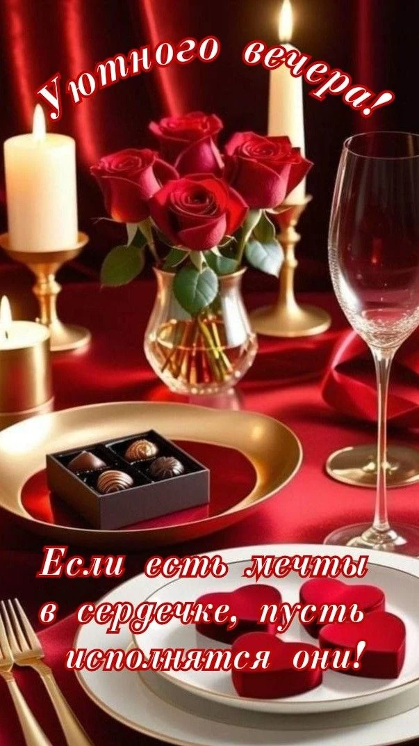 Хорошего вечера! Приятного отдыха! ✨💐