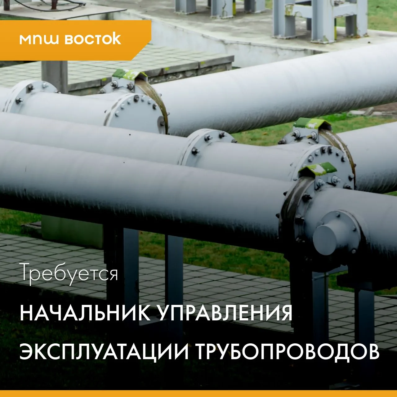 Наш клиент – один из крупнейших производителей и переработчиков углеводородного сырья в...