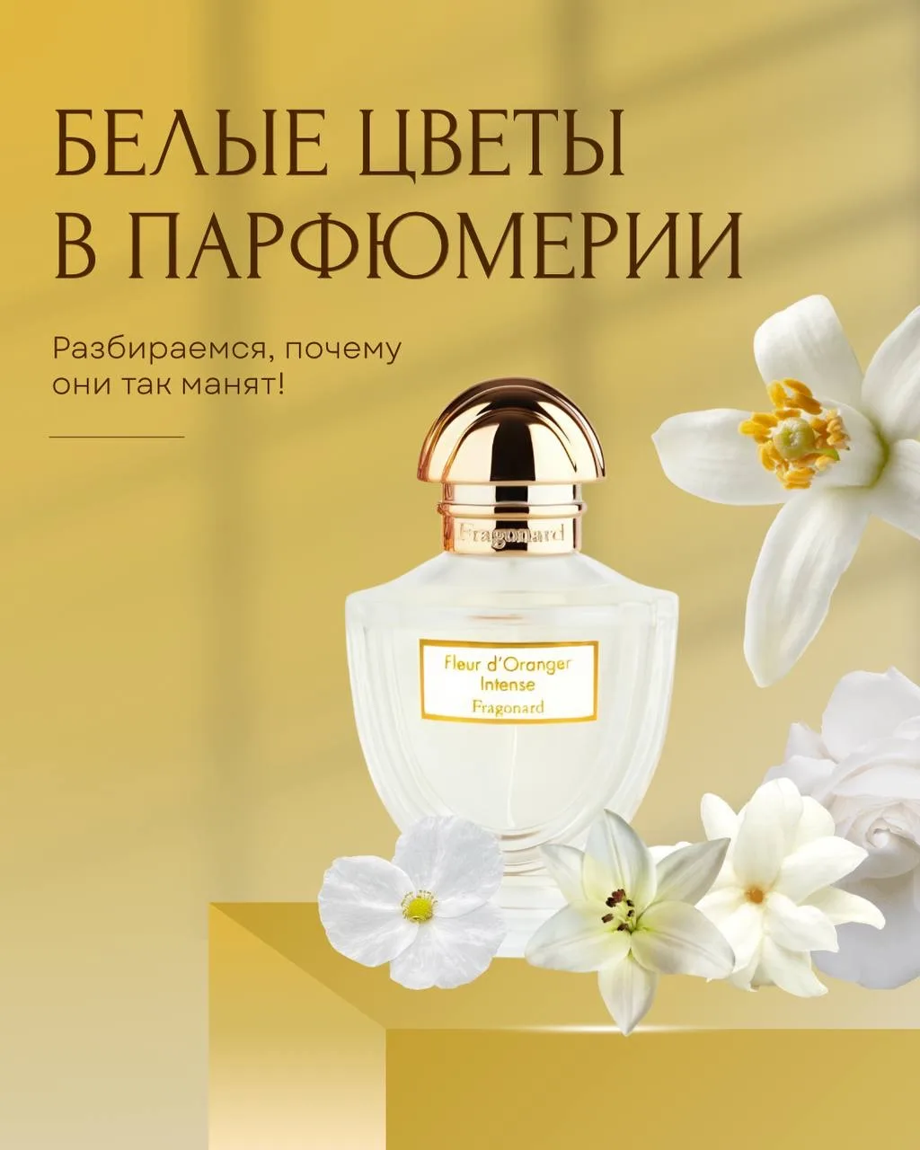 Белые цветы в ароматах 🤍