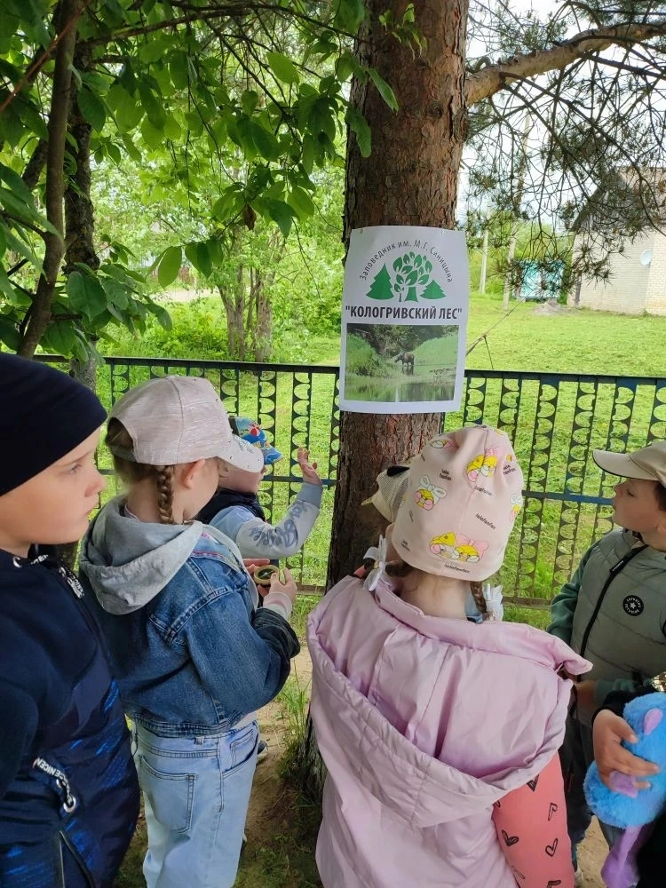 ✨ БОЛЬШОЕ ПУТЕШЕСТВИЕ ПО РОДНОМУ КРАЮ! ✨