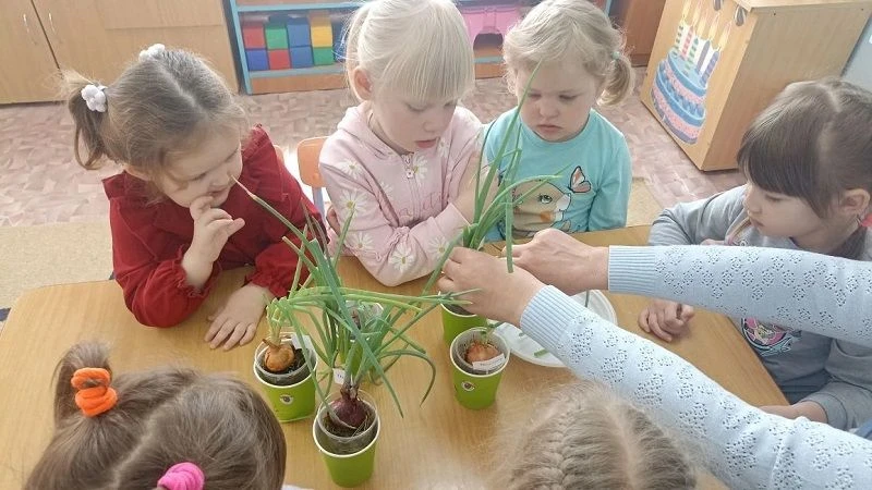 🧅🧅🧅 Вот и вырос наш лучок на подоконнике 🧅🧅🧅                                     ...