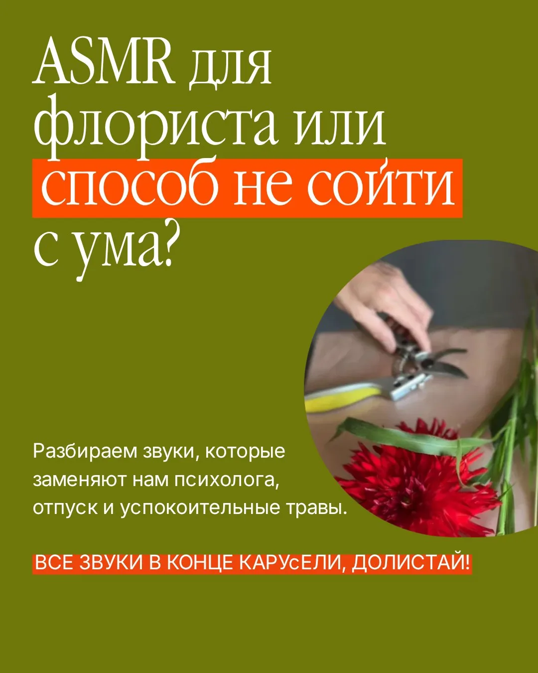 Звуки работы у флориста… ммм это особая терапия. Звук секатора, хруст стеблей, шуршание...