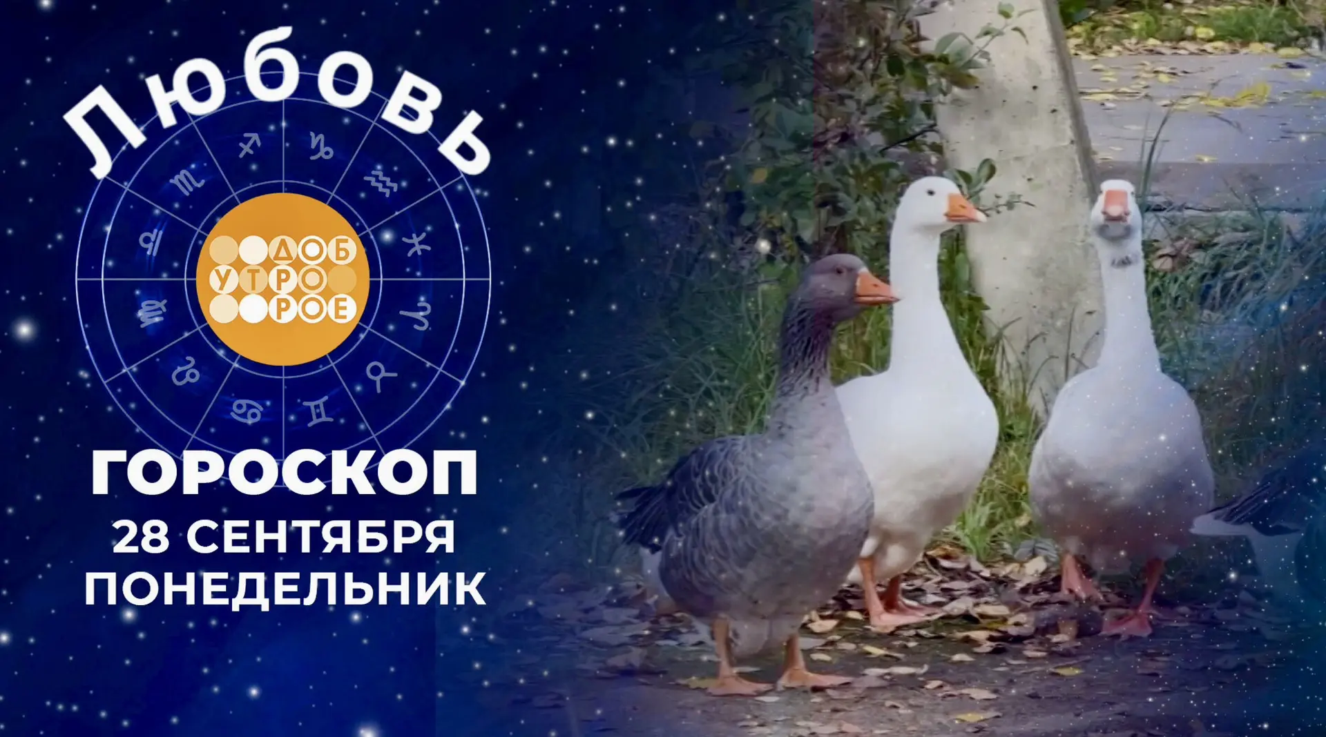 Гороскоп любви для всех знаков зодиака на 28 сентября 2026 : тепло и откровенность ❤️‍🩹