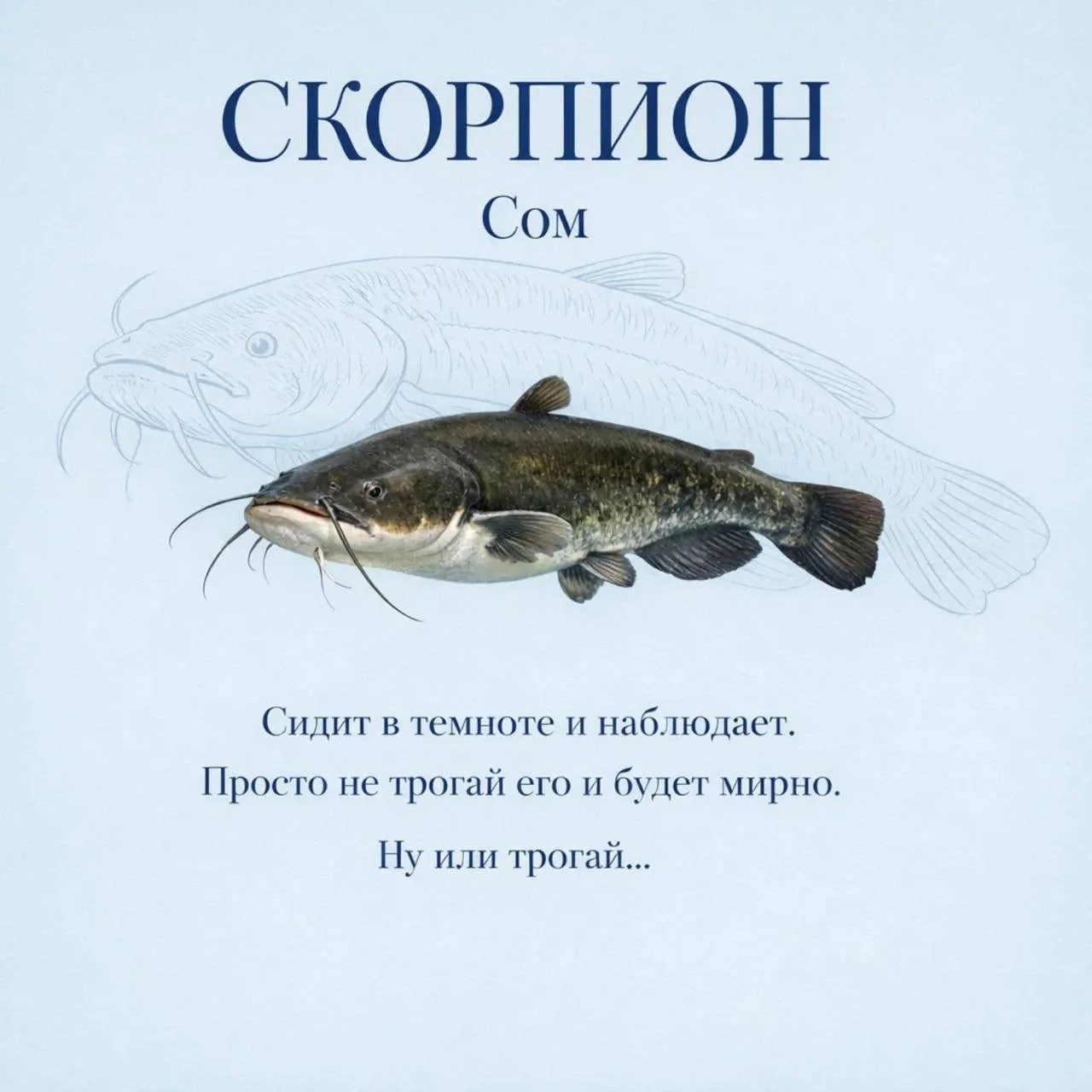 Знаки зодиака как рыбки, часть 2  Если согласны с постом, оставляйте реакцию ❤️  Астрология | Подпиш