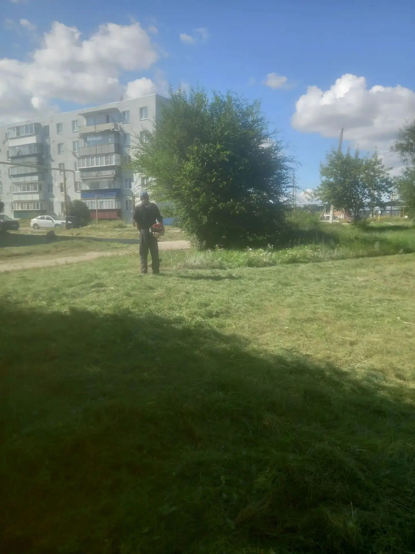 🌱🌱🌱В теплое время года одним из необходимых мероприятий является скашивание травы.  ...