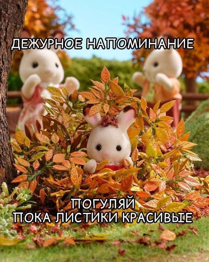 #хорошегодня