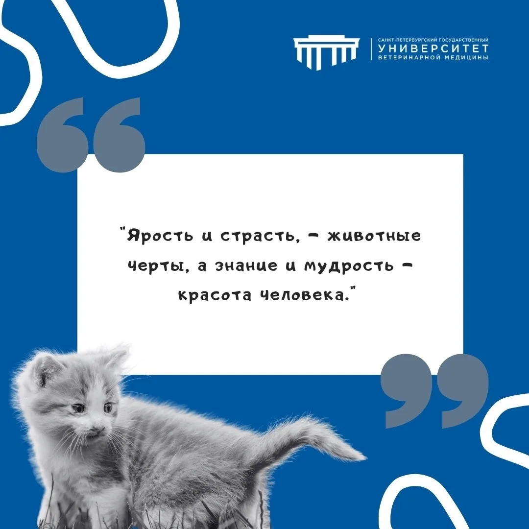 #фразадня #СПбГУВМ