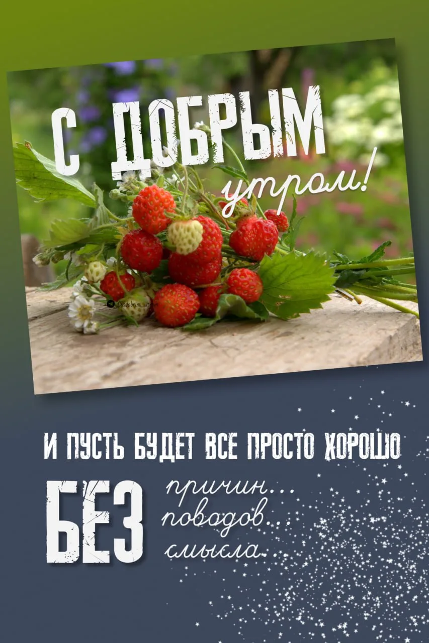 Доброе утро! 🌷