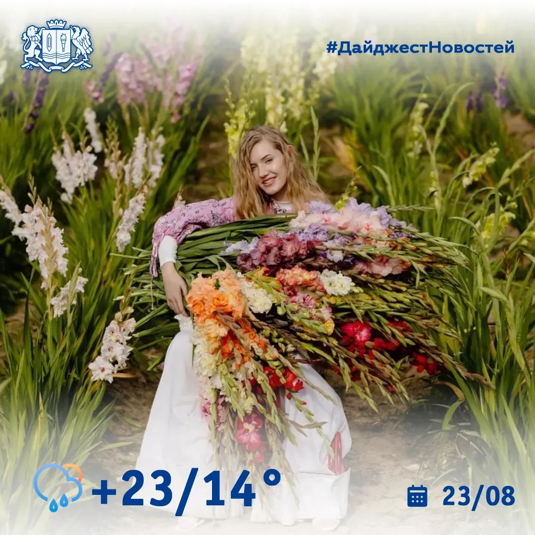 Доброе утро, родная Ивановская область 🌺