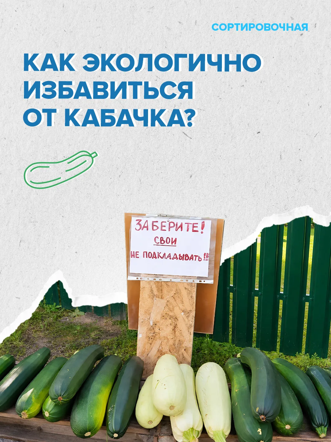 🌏 🤭 Пристрой кабачок — спаси планету!